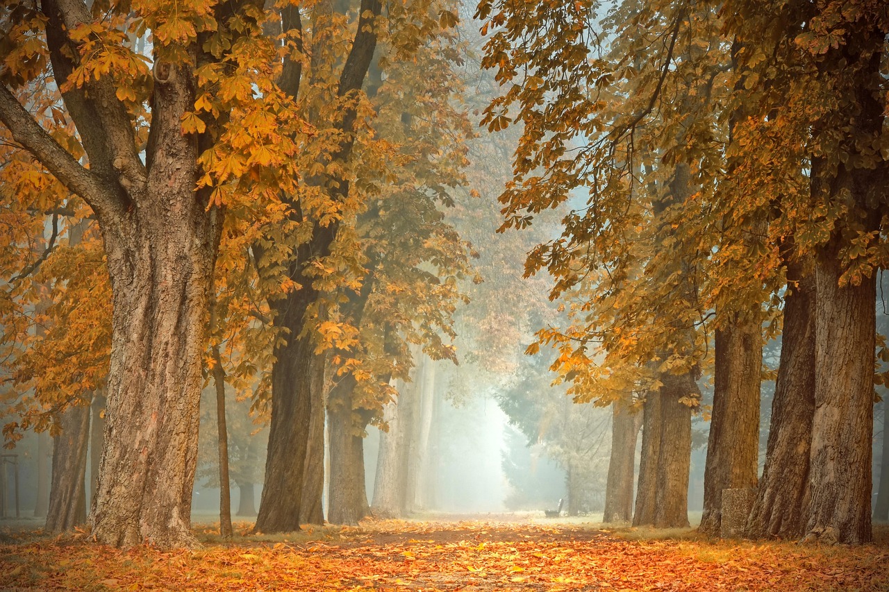 Moderne veranda met comfortabele herfstkussens.